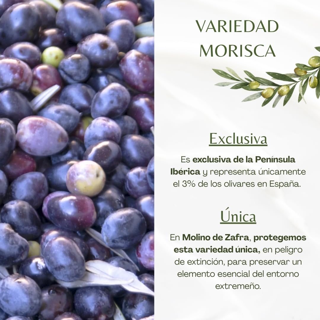 Aceite de Oliva Virgen Extra 5 Litros Premium sin Filtrar – AOVE 100% Reserva Familiar de Molino de Zafra – Cosecha Tradicional, Primera Prensada en Frío, Calidad Gourmet (MZ 5 litros (1 unidad))
