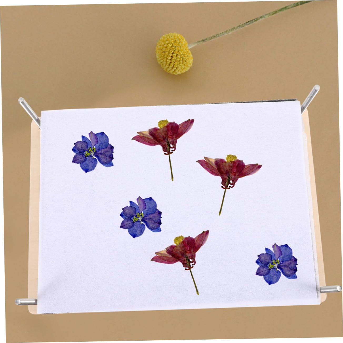 DOITOOL Kit Manualidades Prensado Flores DIY Prensa Plantas Resistente y Reutilizable Secado Uniforme para Tarjetas Scrapbooking Bodas y Arte Natural Herramienta para Amantes Plantas y