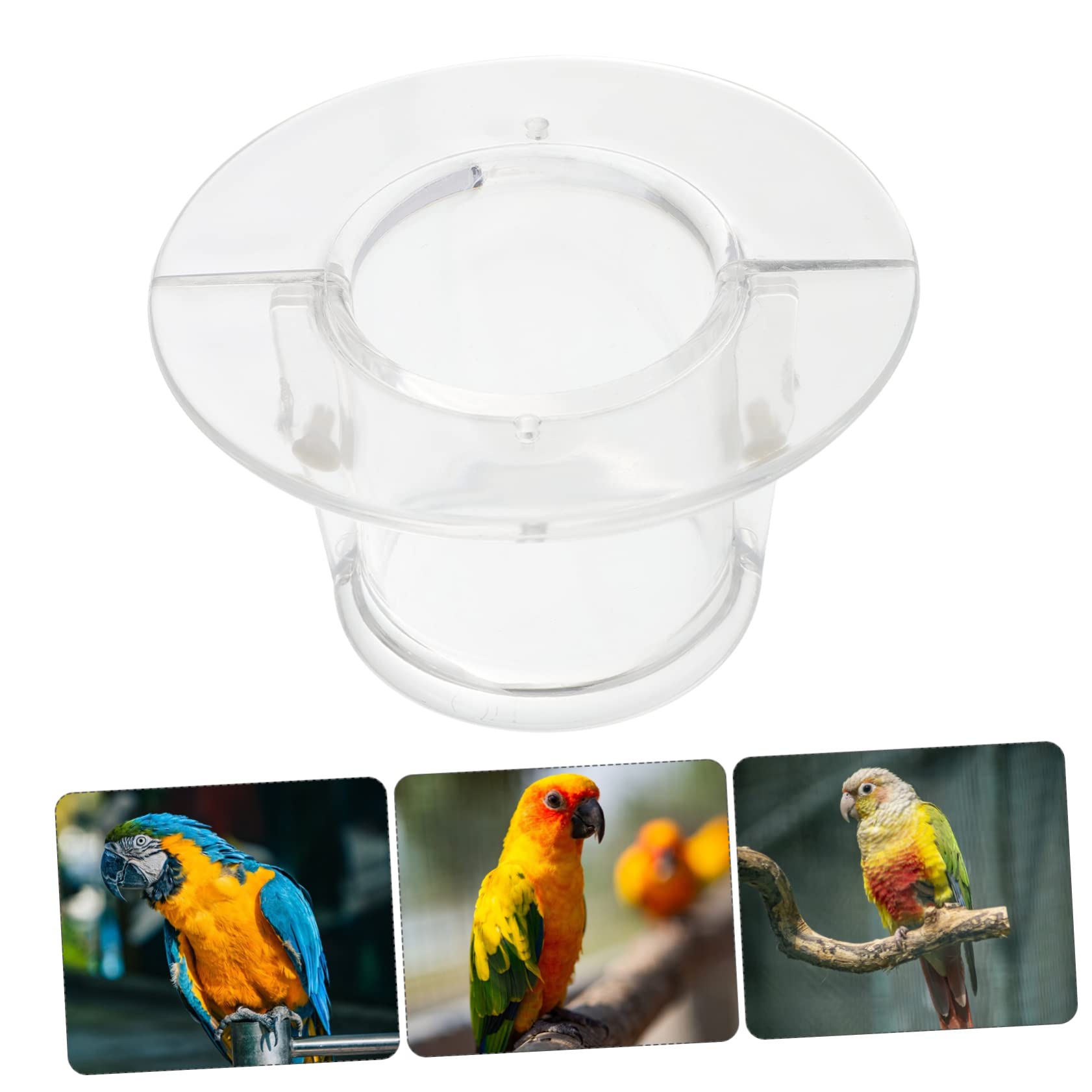 Sosoport 10piezas Collar para y Aves Anti-mordida Restricción De para Periquitos y