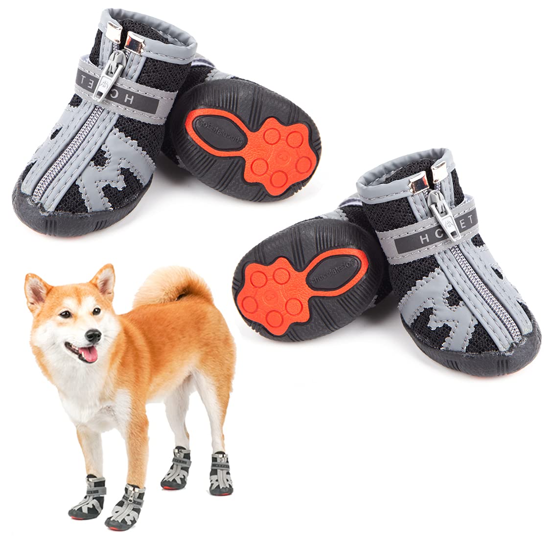 Why Cant Dogs Walk In Shoes
