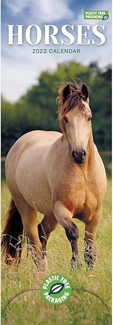 Horses Slim Calendar 2023