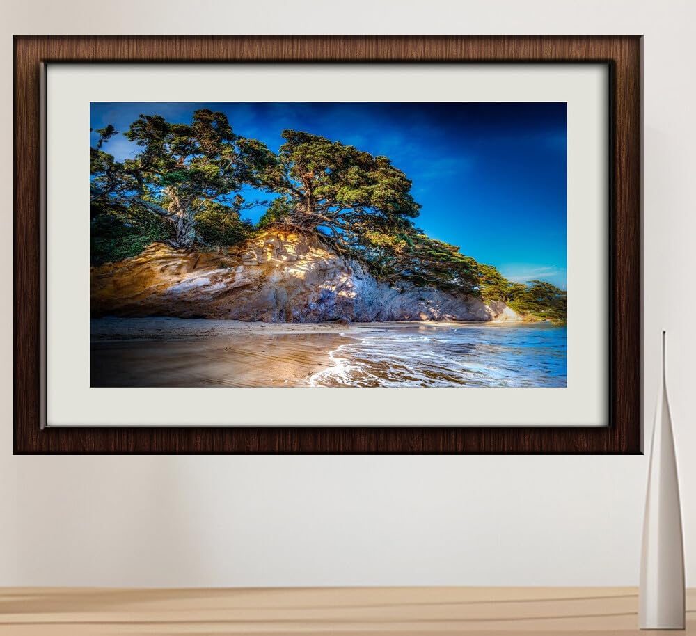 JVERFJVERF - JZZI25196 New Zealand Coast Tasman Crag Trees| Self-Adhesive Painting | Frameless