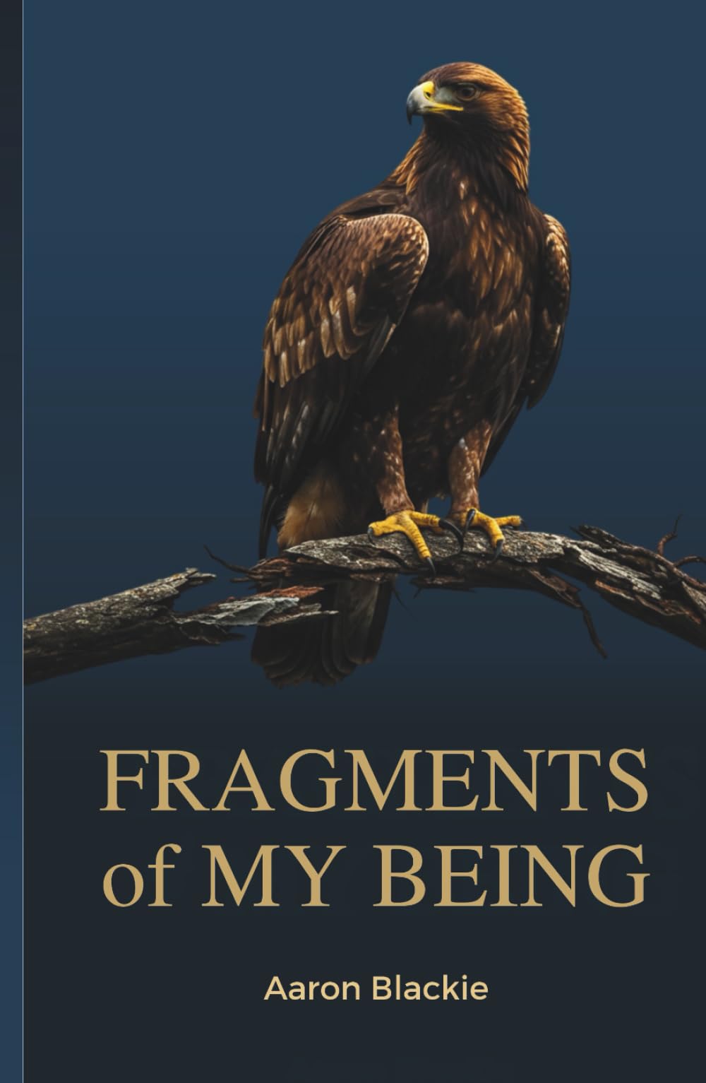 FRAGMENTS OF MY BEING