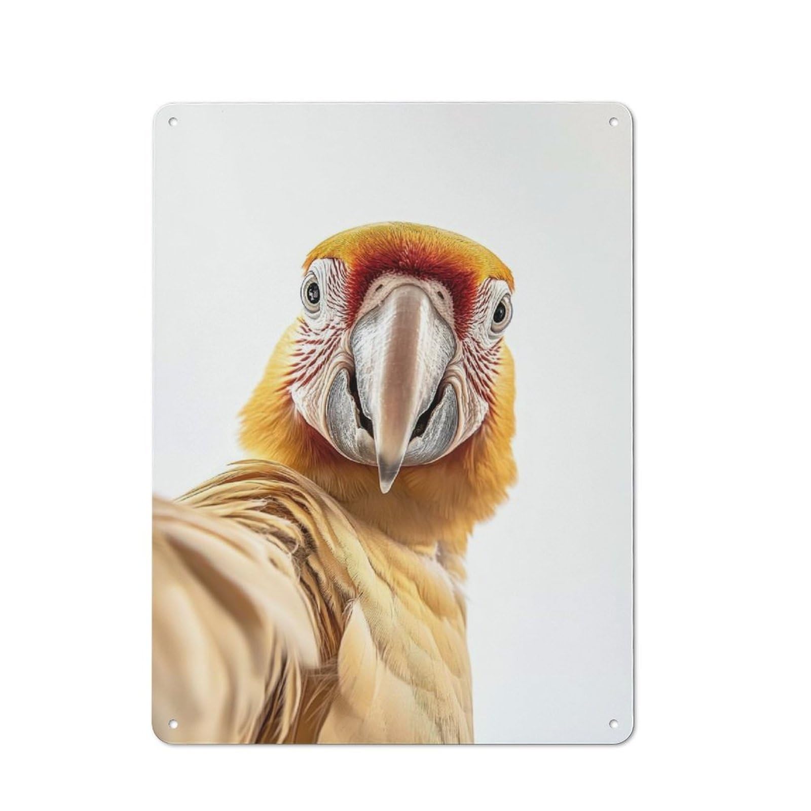 Junmoney Parrot Golden Macaw Selfie Tin Wall Plaque 40X30cm With For Hobby Room Or Studio, For Updating Hobby Room And Studio After Moving