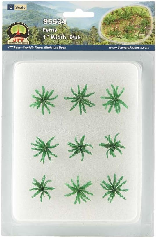 Gardening Plants Series: Ferns, 1"