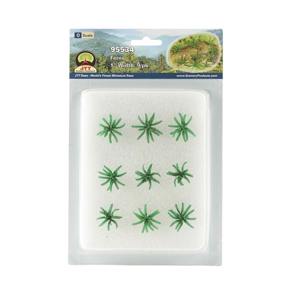 Gardening Plants Series: Ferns, 1"