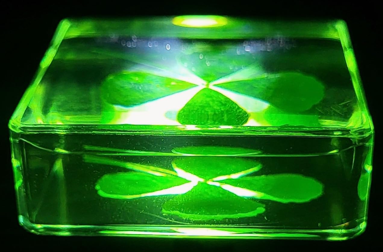 38 mm großes echtes vierblättriges Kleeblatt aus kristallklarem Lucite-Harz. Exemplar „Glücksblatt“ zum St. Patrick's Day, Geschenk- und Bastelsammlung für Botanik, Wissenschaftsunterricht und Schreib