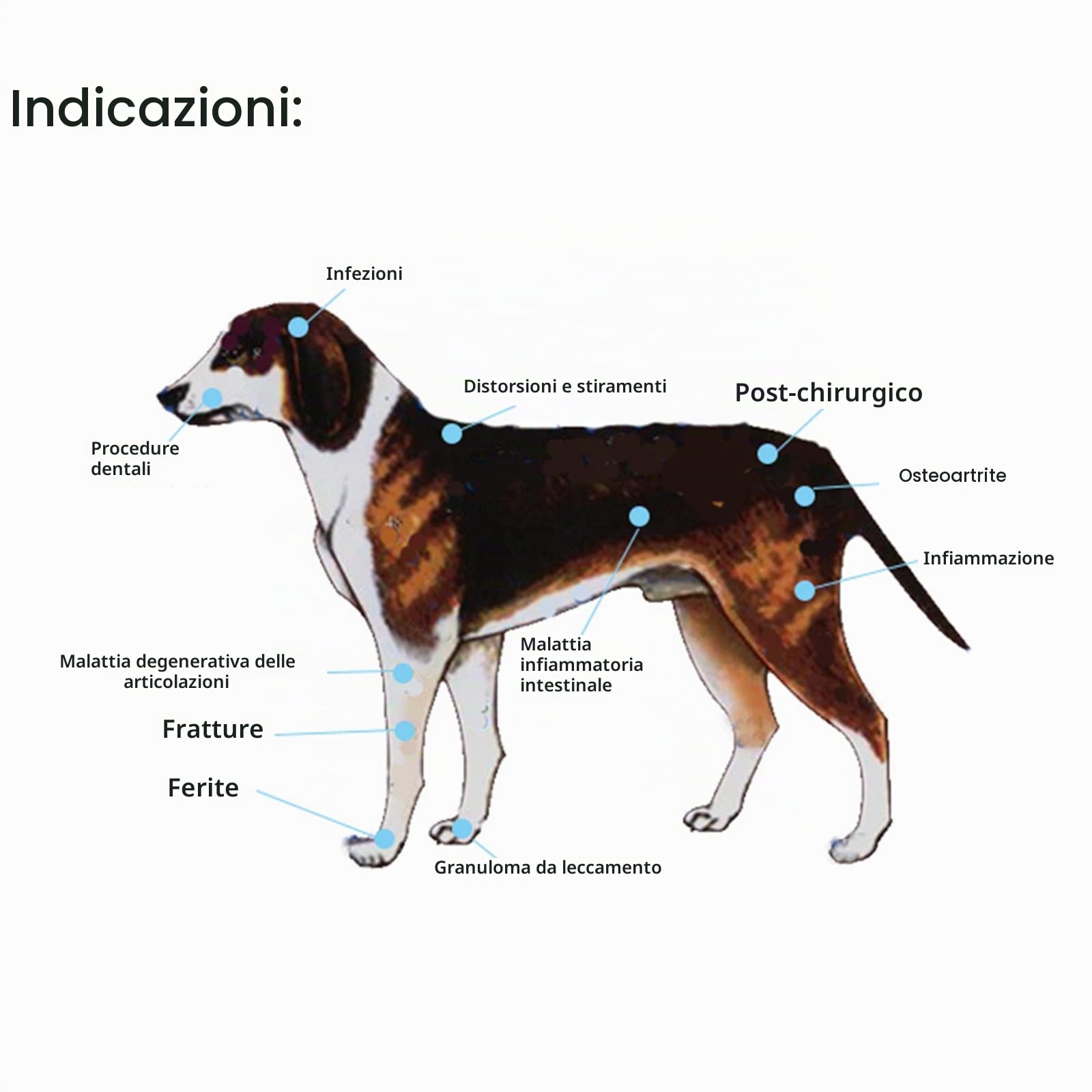 iKeener Dispositivo terapeutico per animali domestici, terapia laser a freddo, allevia il dolore articolare degli animali, dispositivo portatile per la terapia delle mani, luce rossa, per cavalli