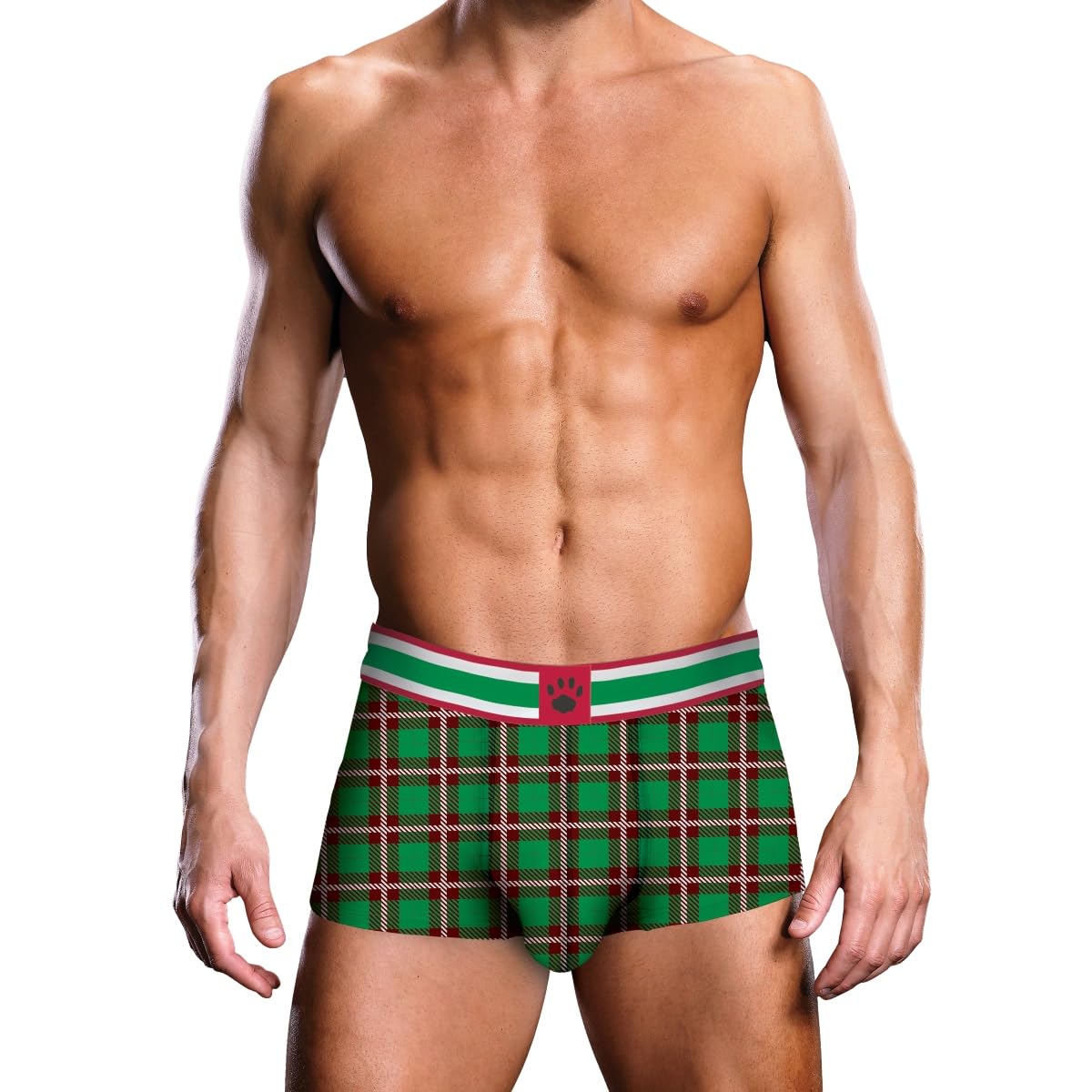 Prowler Tartan 2 Brief - UK Size Large 32" - 36" Waist - Mens Premium Kinky Underwear Multicolor