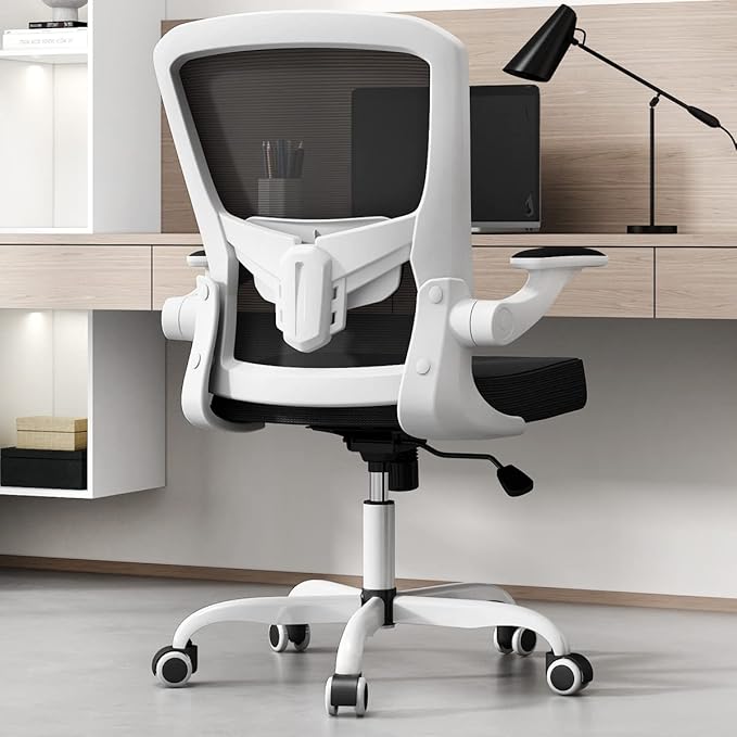 Sytas Ergonomic Mesh Office Chair, Home Office Desk Chairs Ergonomic