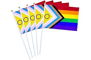 50 Pack Progress Rainbow Pride flag Small Mini Flag