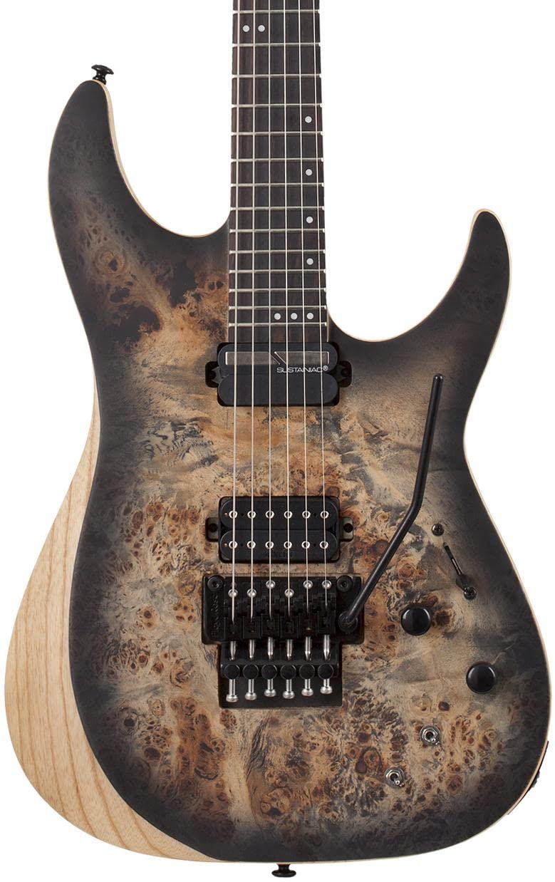 Amazon.com: Schecter Reaper-6 FR-S 