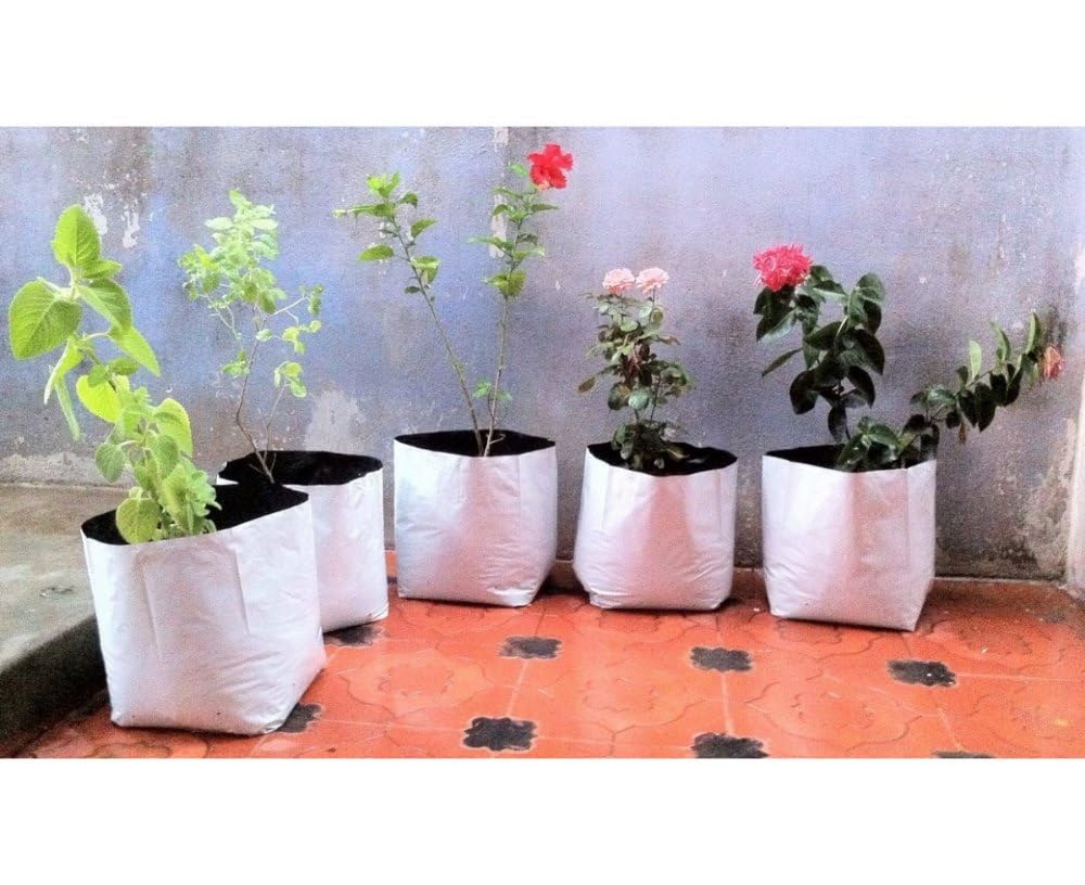 See full amazon price history chart for Elamgreen Grow Bags for Plants (35x20x20 cm) (Pack of 20 Nos),Grow Bags Perfect for Vegetable and Flowering Plants,White Outside, Black Inside,Get Vegetable Seeds Combo Hybrid for Home Garden Elamgreen Grow Bags for Plants (35x20x20 cm) (Pack of 20 Nos),Grow Bags Perfect for Vegetable and Flowering Plants,White Outside, Black Inside,Get Vegetable Seeds Combo Hybrid for Home Garden (B07NS4PNDN) Amazon Price History, Amazon Price Tracker
