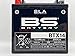 Bs battery AGM BTX14 SLA | Batteria di ricambio da moto per Kymco XCITING I R 500 2006/2009