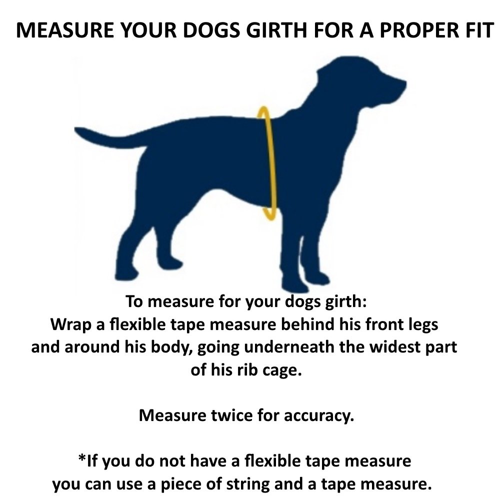 support dog vest amazon