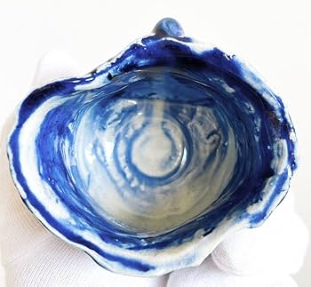 61ULw31L8iL._AC_UF350,