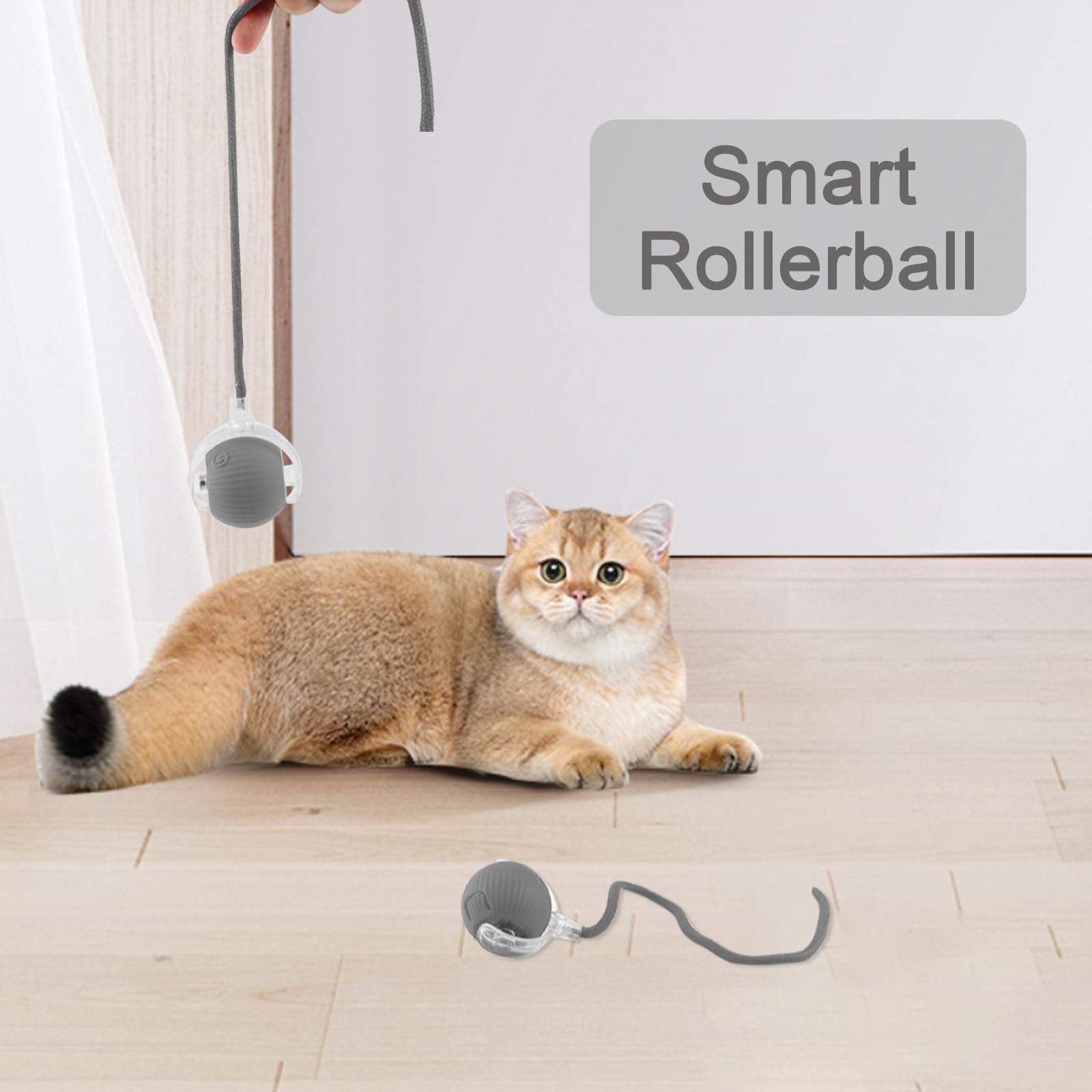 Pelotas Para Gatos Automaticas Pelota Interactiva Para Gatos