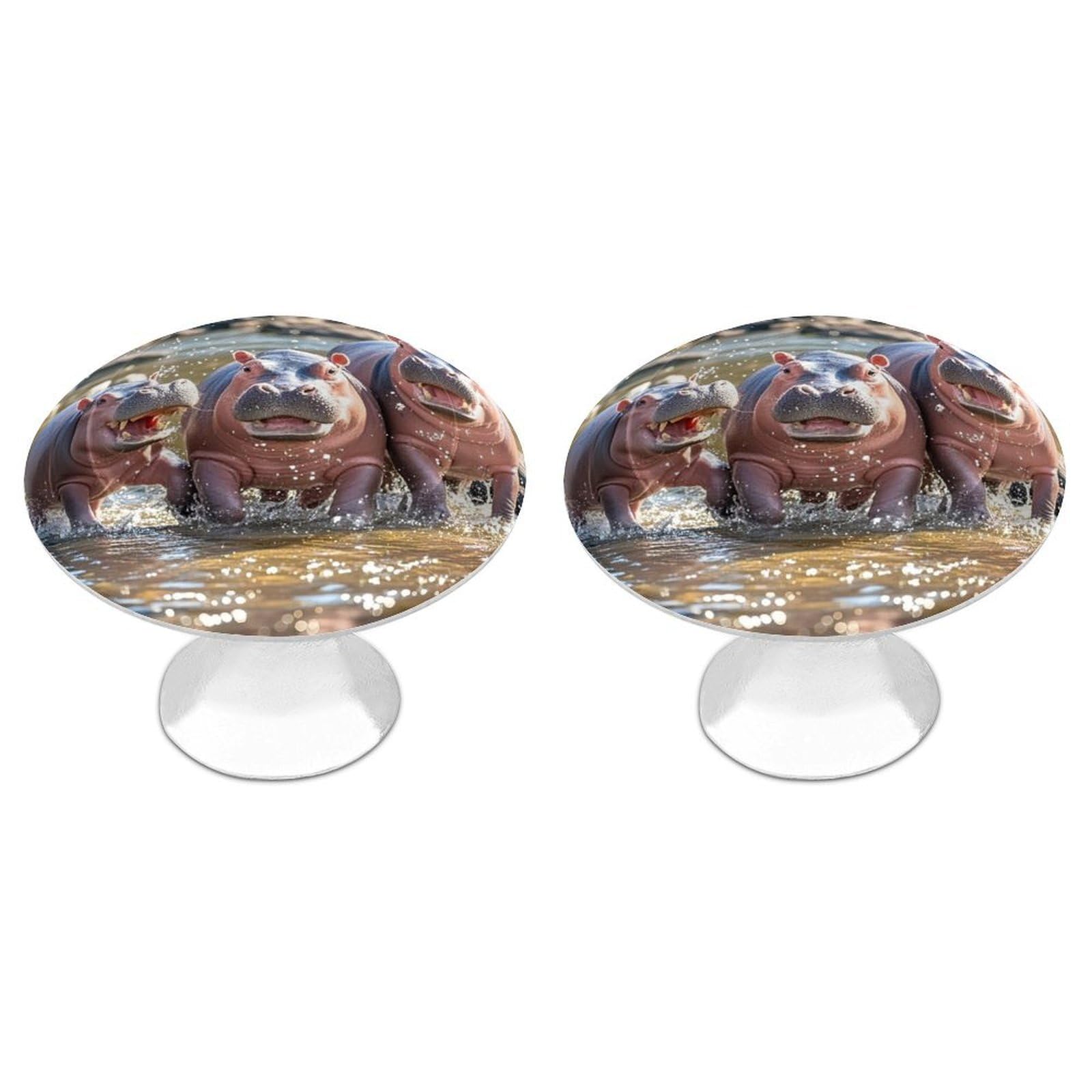 FekiLoot Round Cabinet Knob 2 Pack Kitchen Drawer Knobs Stainless Steel Round Drawer Pulls Modern Cabinet Hardware Hippos Drawer Hardware for Dresser Closet Door Knobs
