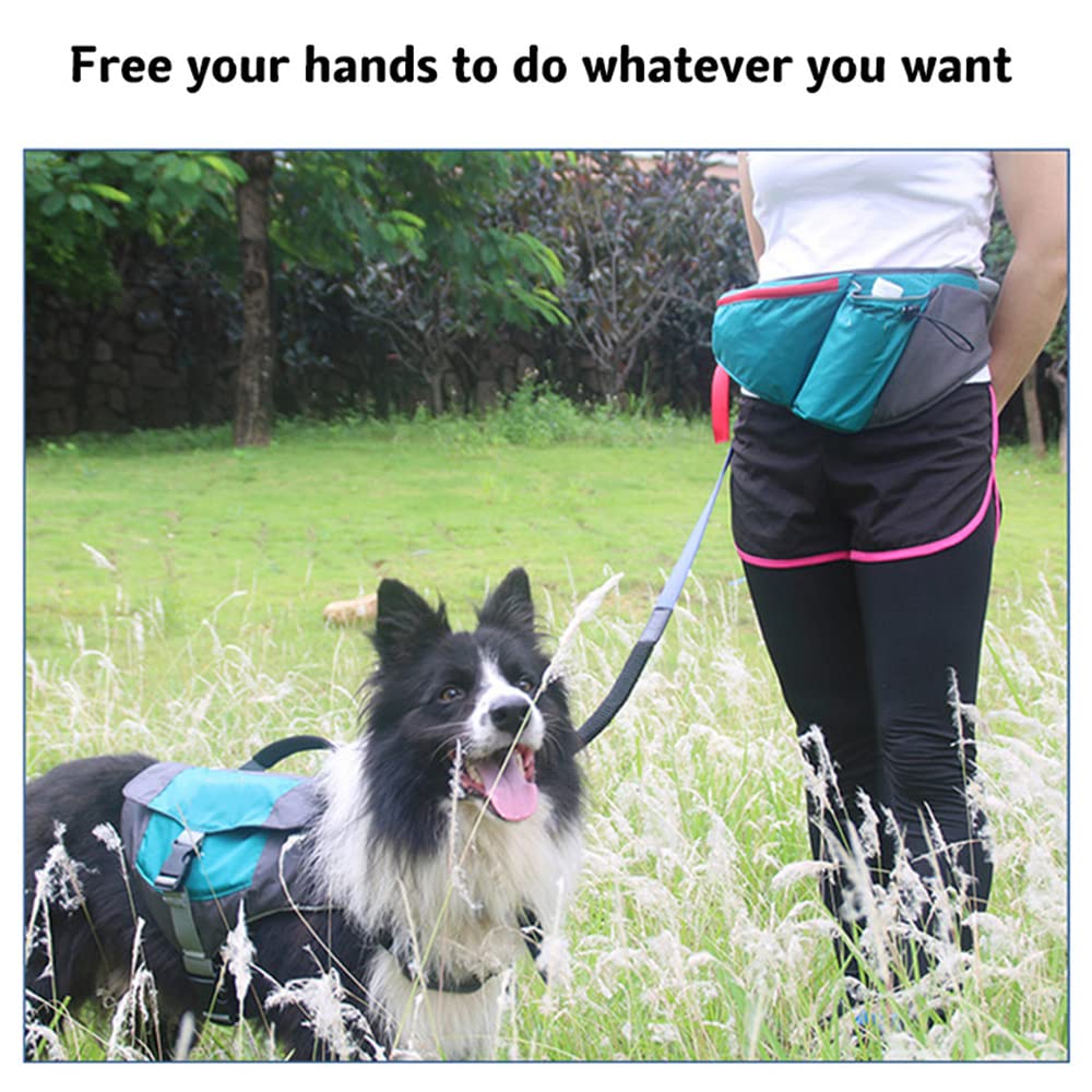 Nourriture Chien Formation Sac De Taille Formation Interactive en Plein Air Sac De Nourriture pour Animaux De Compagnie Haute Capacité étanche