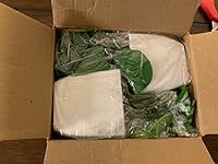 Review Image by Kesha B Kesha B