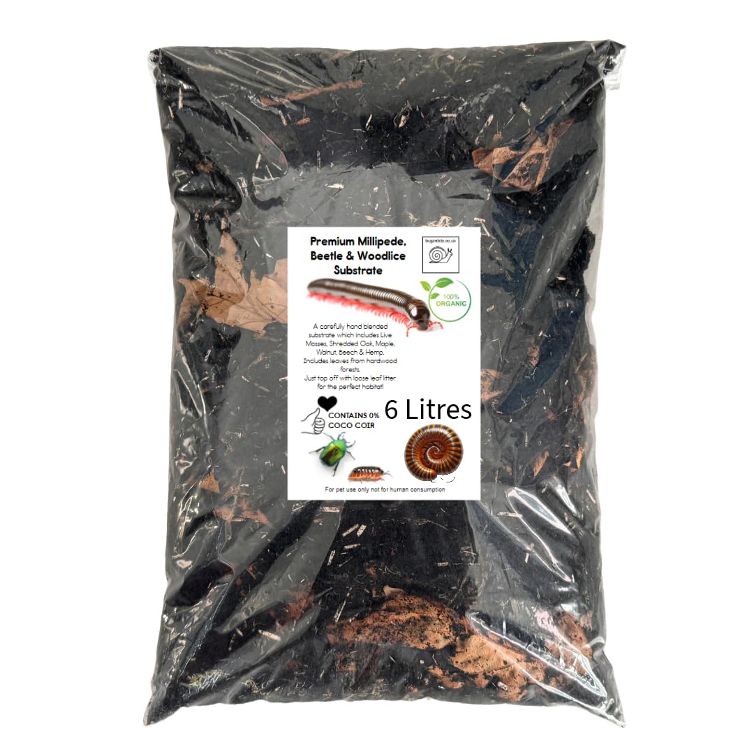 Premium Millipede, Beetle & Woodlice Substrate (6 Litre)