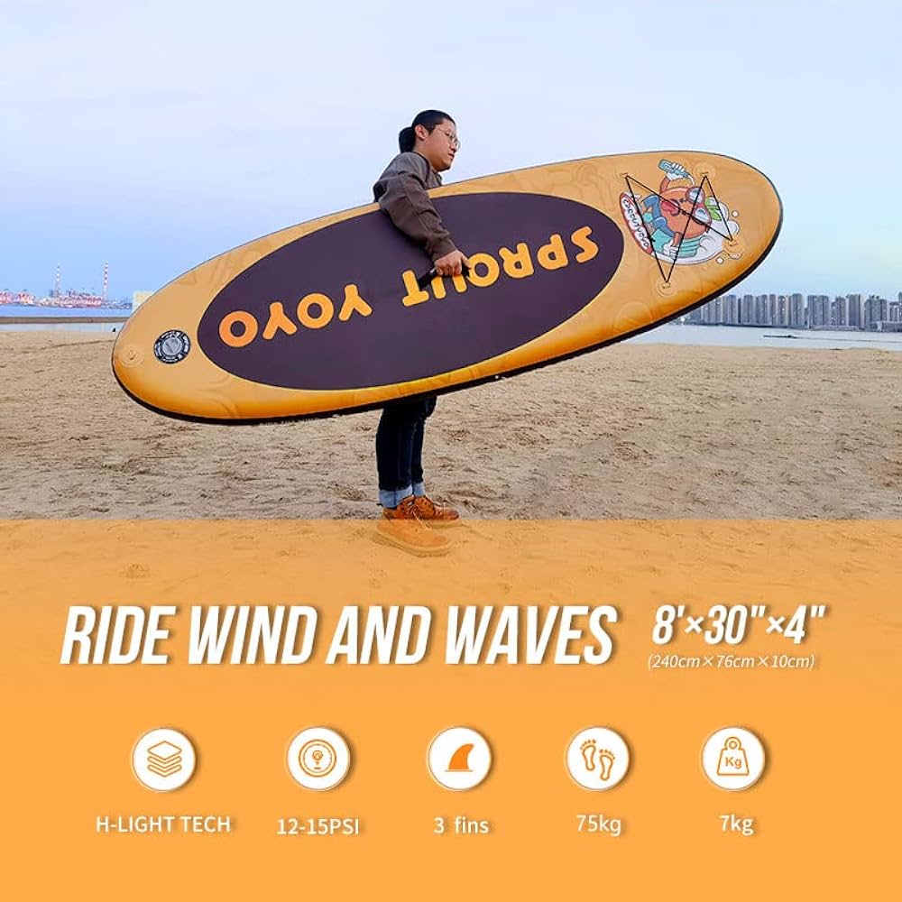 サップボード2回使用　パドルと空気ポンプ未使用 サップボード2回使用 パドルと空気ポンプ未使用 サップボード2回使用