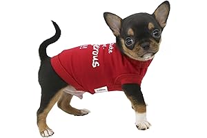 Lophipets Dog Clothes: I'm Cute But Dangerous Letter Print Shirts