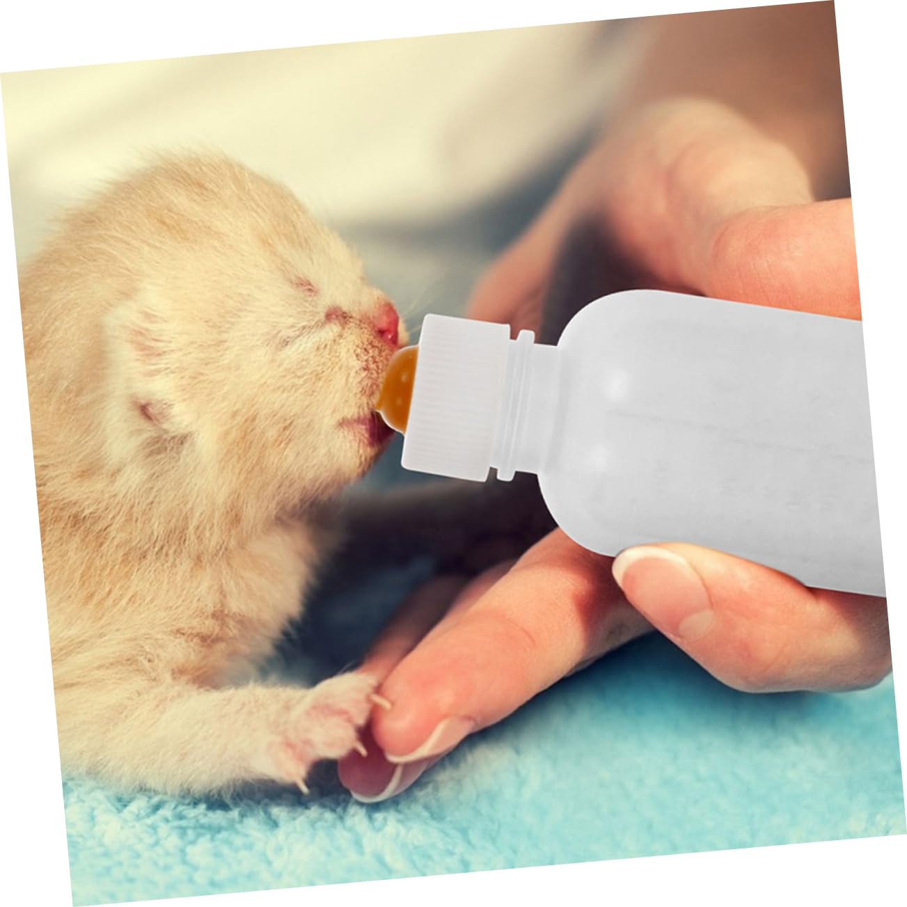 SUPVOX 3pcs Pet Milk Bottle Set Kitten Puppy Feeding Bottles Sturdy Break for Newborn Household Animals