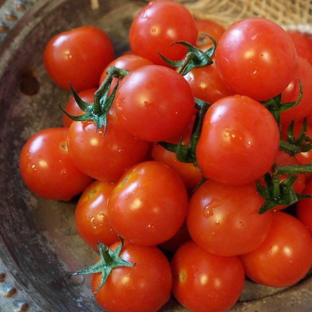 Gaea's Blessing Seeds - Tomato Seeds - Small Red Cherry Heirloom - Non-GMO Seeds with Easy to Follow Planting Instructions - Open-Pollinated 92% Germination Rate