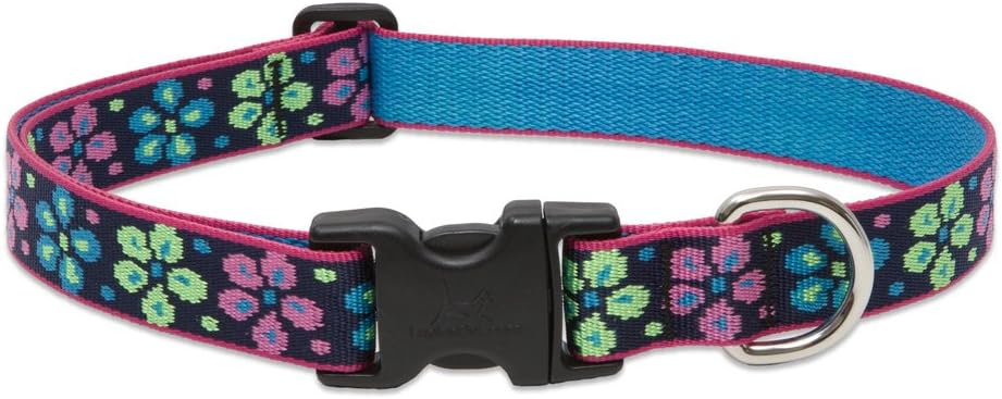LupinePet Originals 1″ Flower Power 12-20″ Adjustable Collar for Medium and Larger Dogs