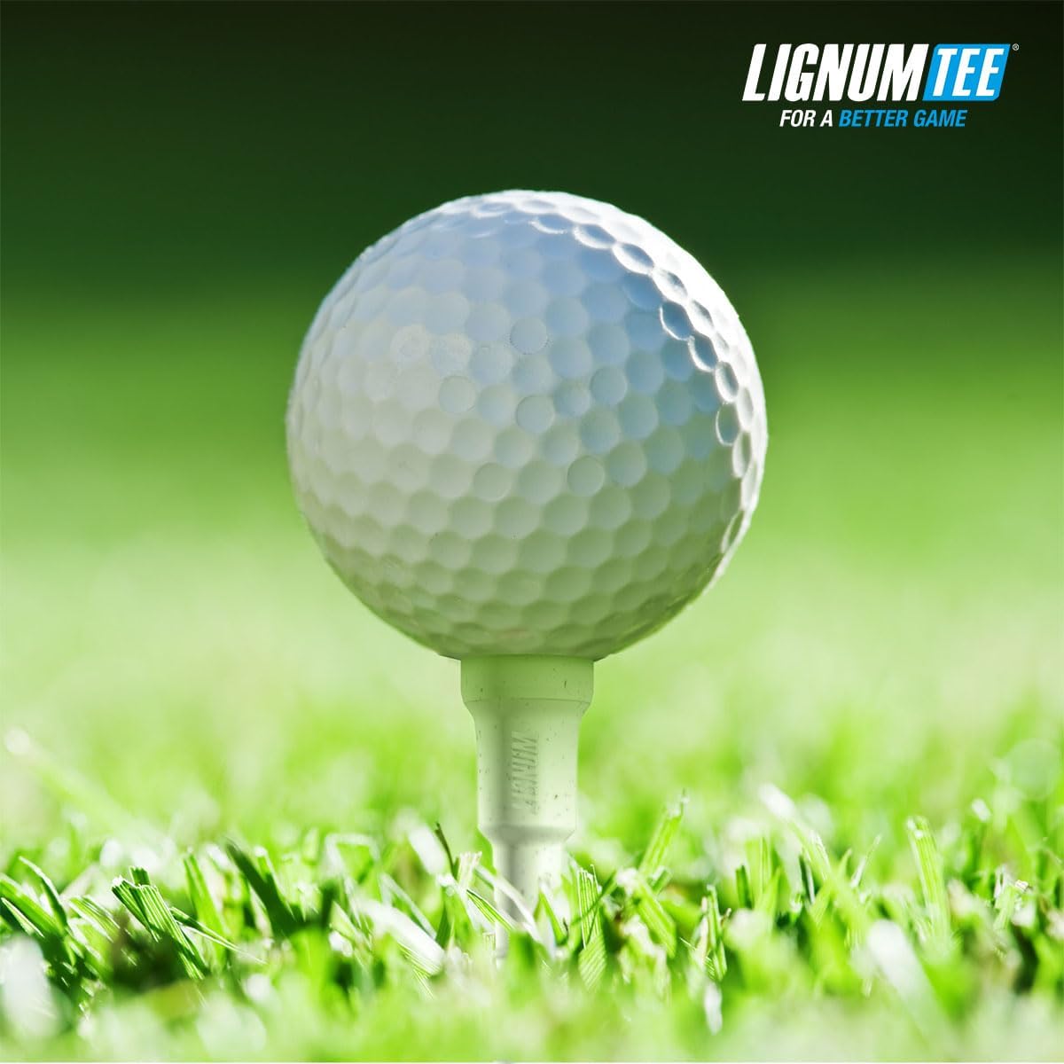 Pack de 12 Tees de Golf Lignum