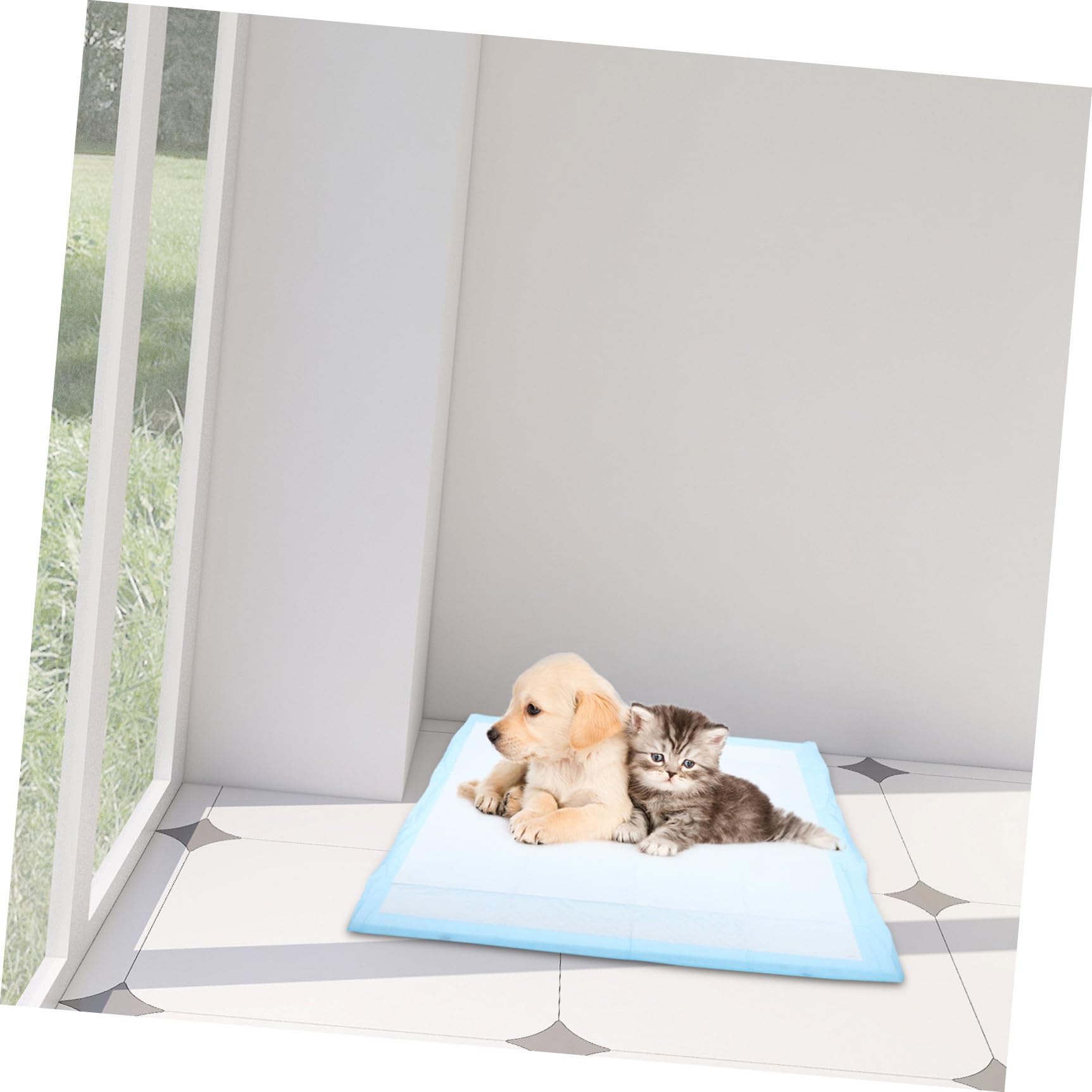 Superabsorbierende Welpen Trainingspads aus Vliesstoff 60 X 60cm für Haustiere Sofortige Flüssigkeitsaufnahme den Einsatz im Hundeauslauf oder Käfig