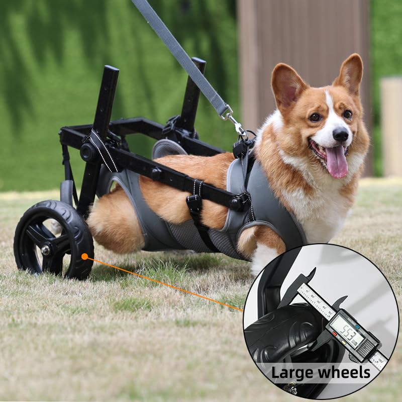 Chaise à roulettes légère pour chien, chariot pour animaux de compagnie réglable pour pattes arrière, chariot d'aide à la mobilité du chien avec roues pour chiots blessés avec14-20KG (L)
