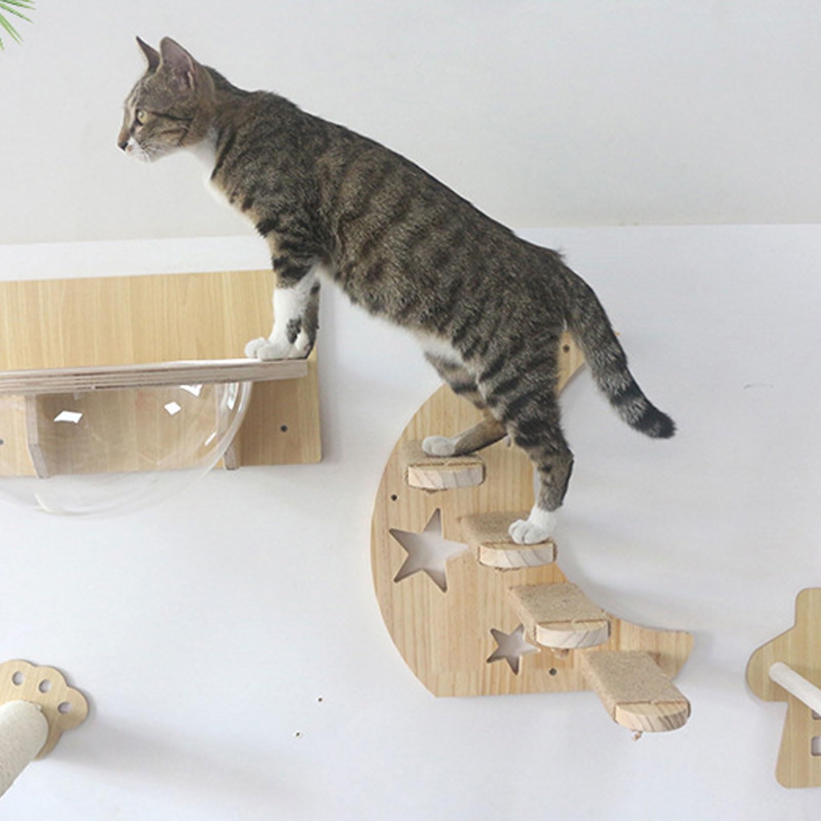 Kletterwand Katzen, Mond-Katzentreppe für Die Wand, an Der Wand Montierte Katzenmöbel, Katzenkletterwand, Katzenwandtreppe, Katzenwandsitz, Spielen, Klettern und Faulenzen