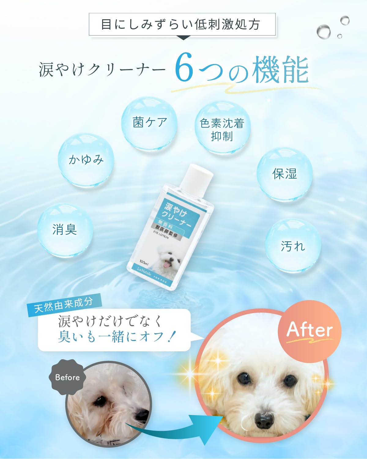 NAOママ様　スキンケアEC 犬用 犬用 パウダーサプリメント ECM-Eヒアルロン酸 iiwell 60g