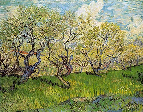 Peinture à l'huile d'art de Van Gogh pour une décoration murale raffinée et lumineuse