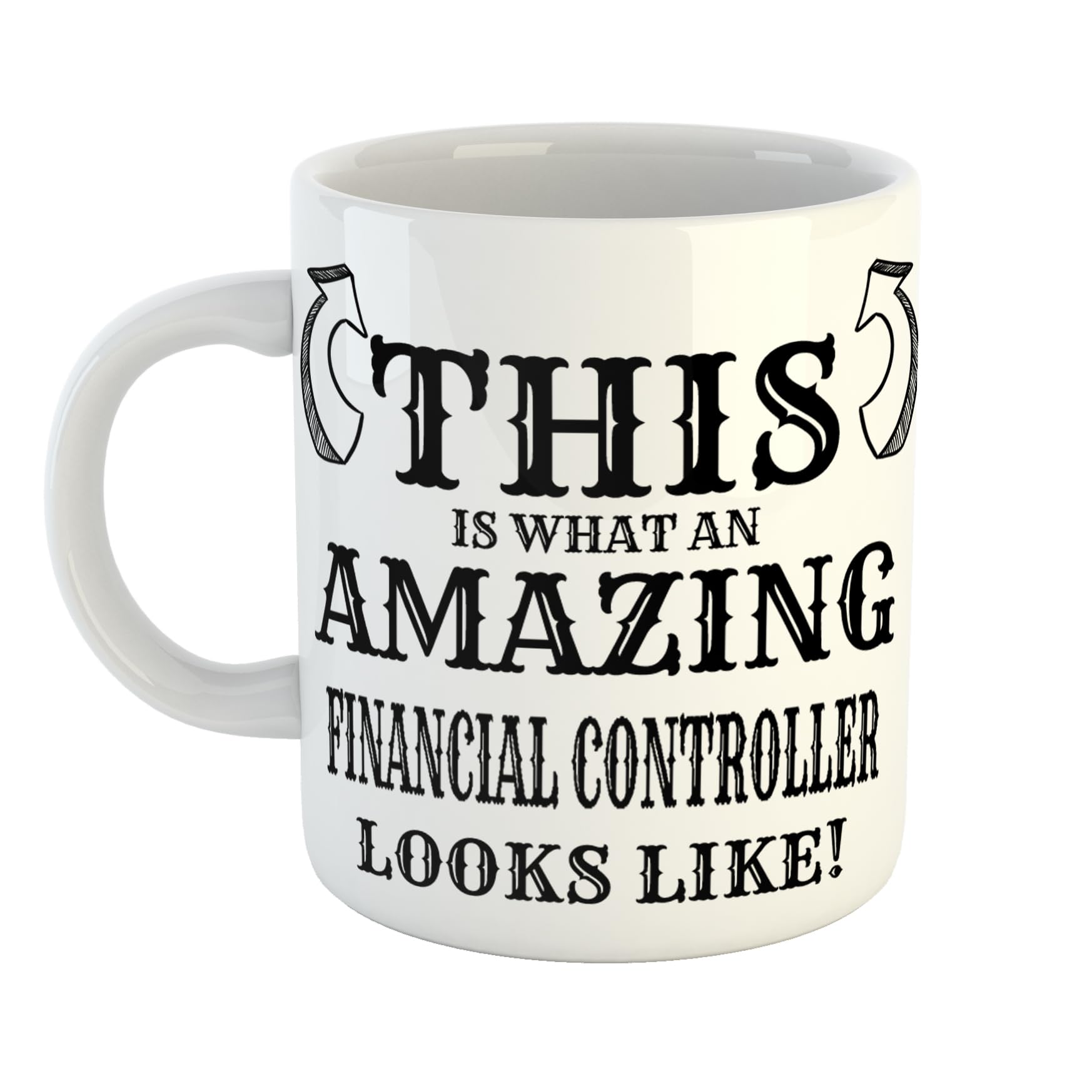 Just The Shirt This is What an Amazing Financial Controller Looks Like Mug, Stocking Filler Gift, 11 oz Ceramic Mug