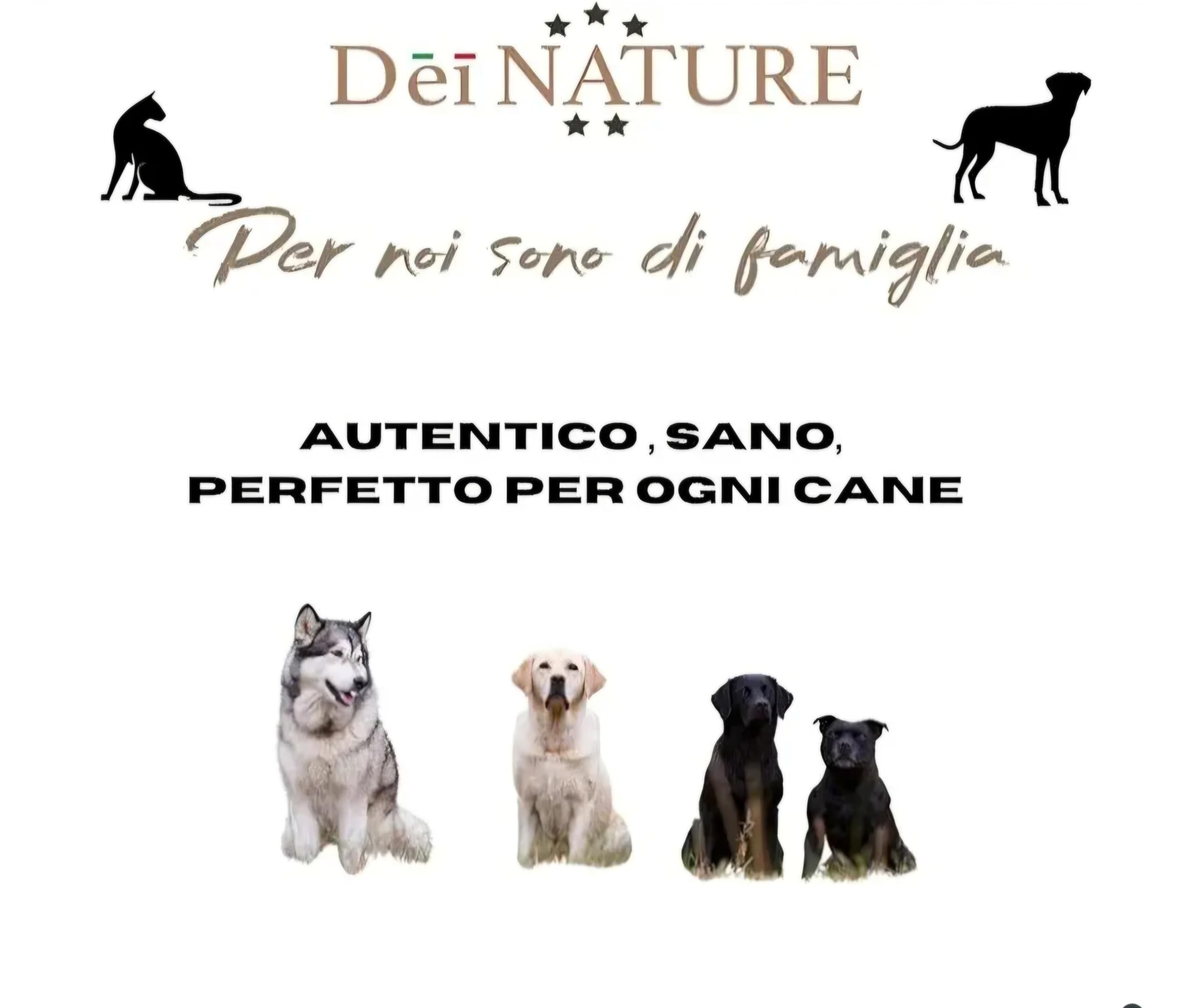 Colli Di Pollo essiccati per cani CONFEZIONE DA 1 KG Masticativi Premium Per Cani