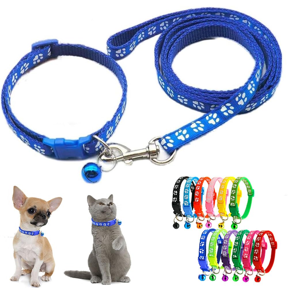 Blue Puppy Lead And Collar Sets