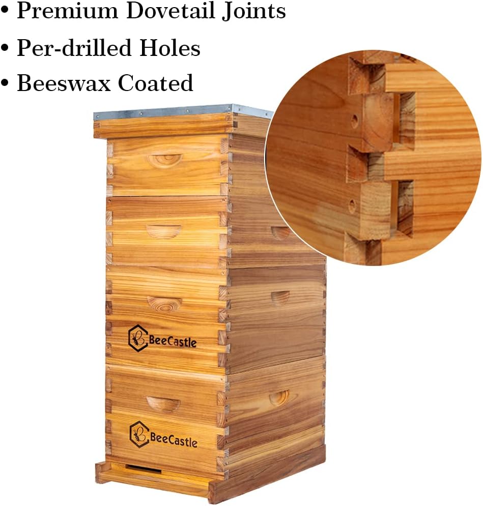 BeeCastle 10 Frame Langstroth Bee Hive Coated with 100% Beeswax Includes Beehive Frames and Waxed Foundations (2 Deep Boxes & 2 Medium Boxes) - Image 3