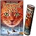 Produktbild Beltz & Gelberg Warrior Cats - Zeichen der Sterne. Stimmen der Nacht: Staffel IV, Band 3 + Warrior Cats Poster