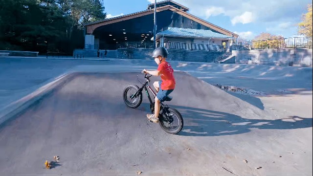 Amazon.co.jp: AVASTA(アバスタ)Gemini子供用BMX自転車（幅：2.4インチ