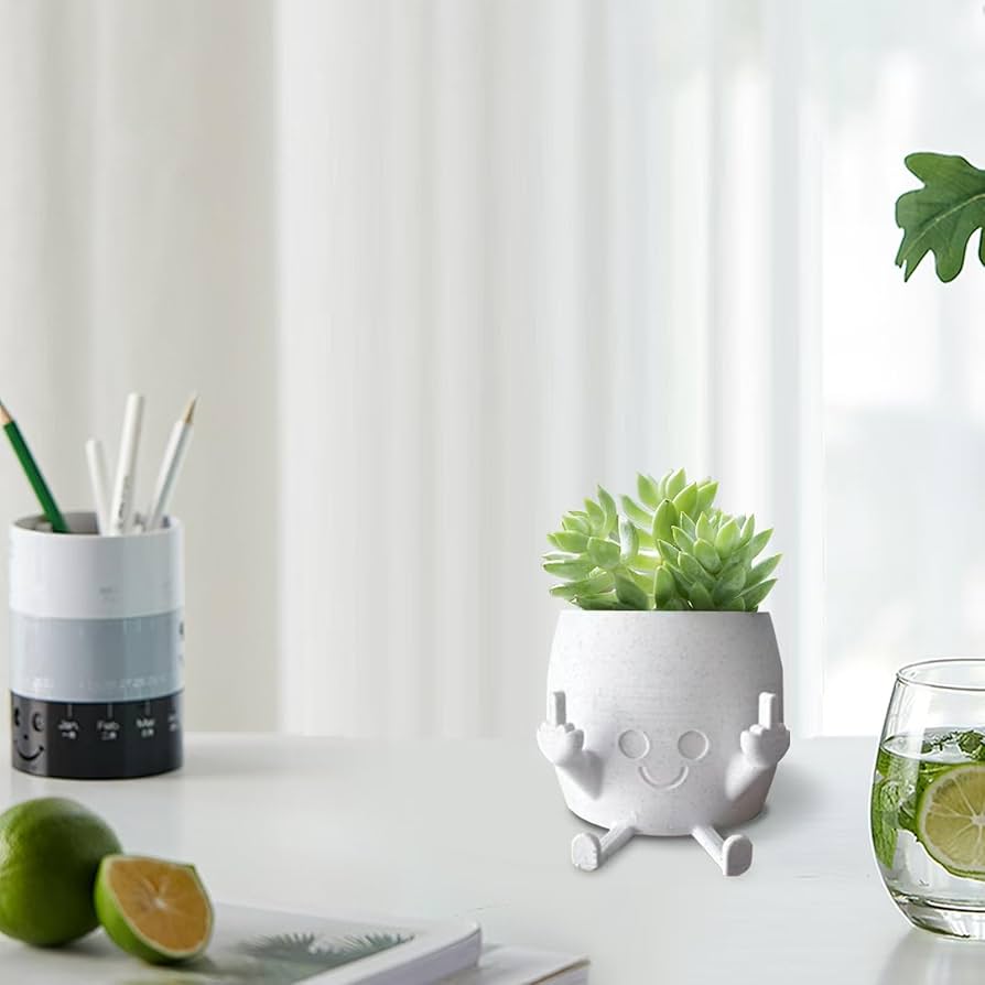 Amazon.co.jp: 中指を上にして笑顔の植木鉢、多肉植物用植木鉢、面白い