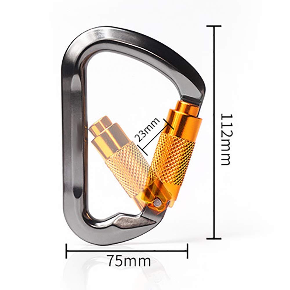 Moschettone con Anello a D, Clip con Gancio a Vite, moschettone, Confezione da 2, 25 KN, Resistente per Campeggio, Escursionismo, Palestra all'aperto, ECC. Super Durevole (Argento, 112 x 75 mm)
