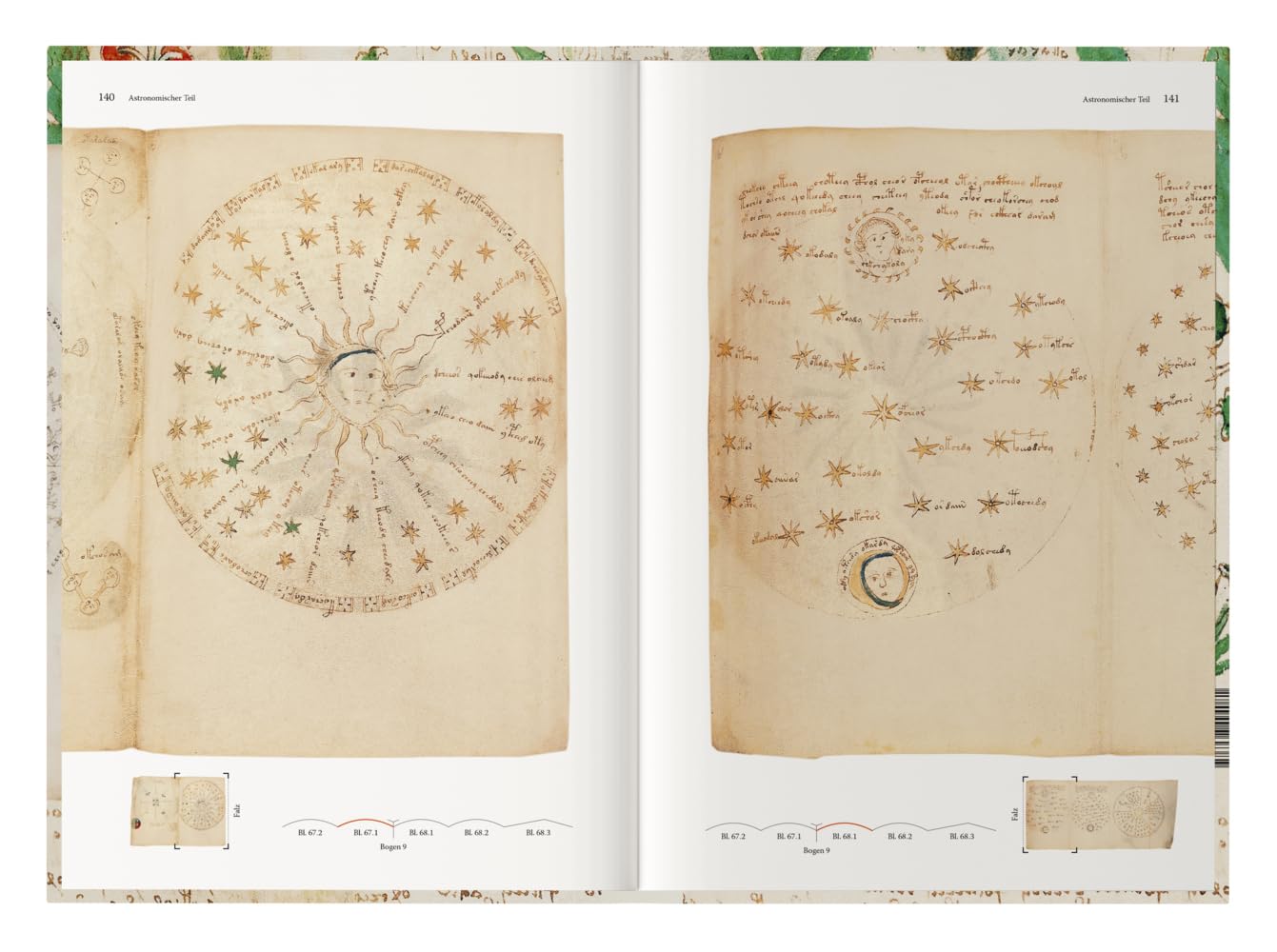 Das Voynich Manuskript: Gesamtdarstellung aller Tafeln der geheimnisvollen illuminierten Handschrift