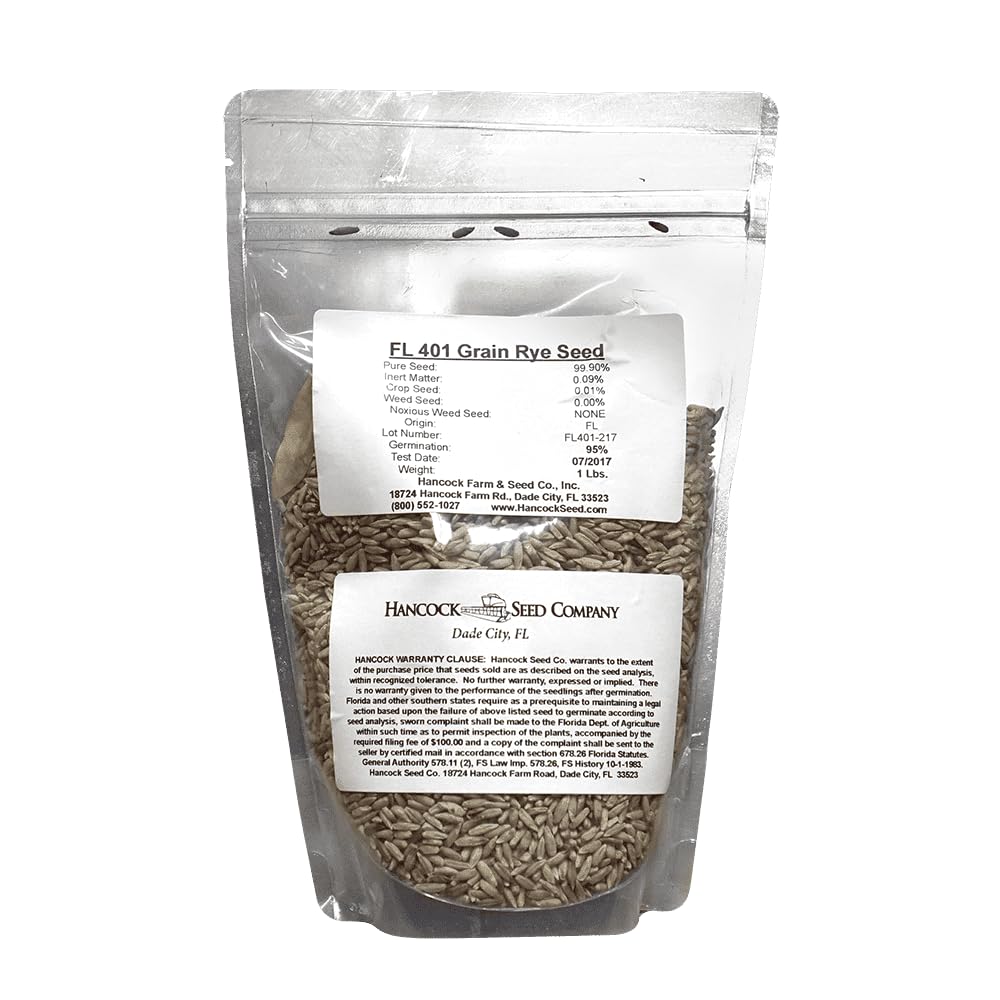 Amazon.com : Hancock Seed Co. Florida 401 Grain Rye Seeds