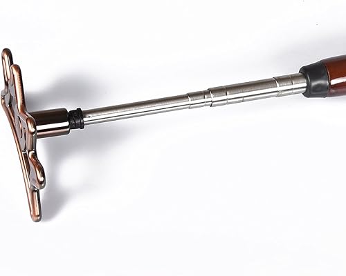 TGA Sports - Palo retráctil para billar, color marrón