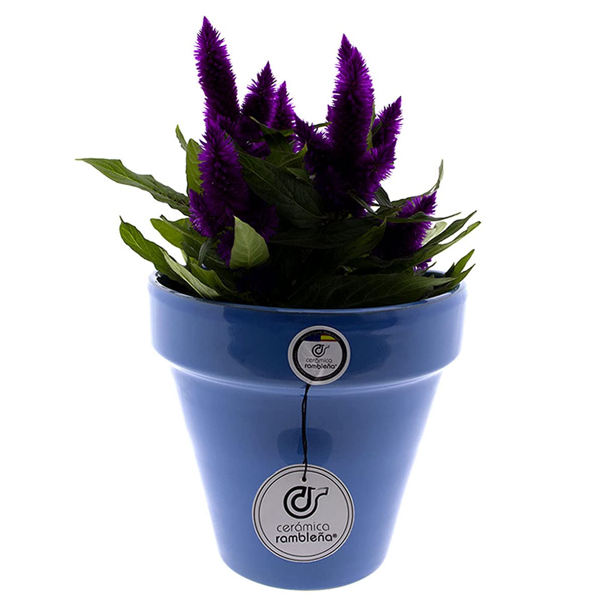 CERÁMICA RAMBLEÑA | Vaso da Fiori per Parete | Vaso Ceramica | Vaso Esterni con Foro per Appendere e Drenaggio | Vaso Azzurro - Modello D92 | Fatto in Spagna 18x16x21.5 cm