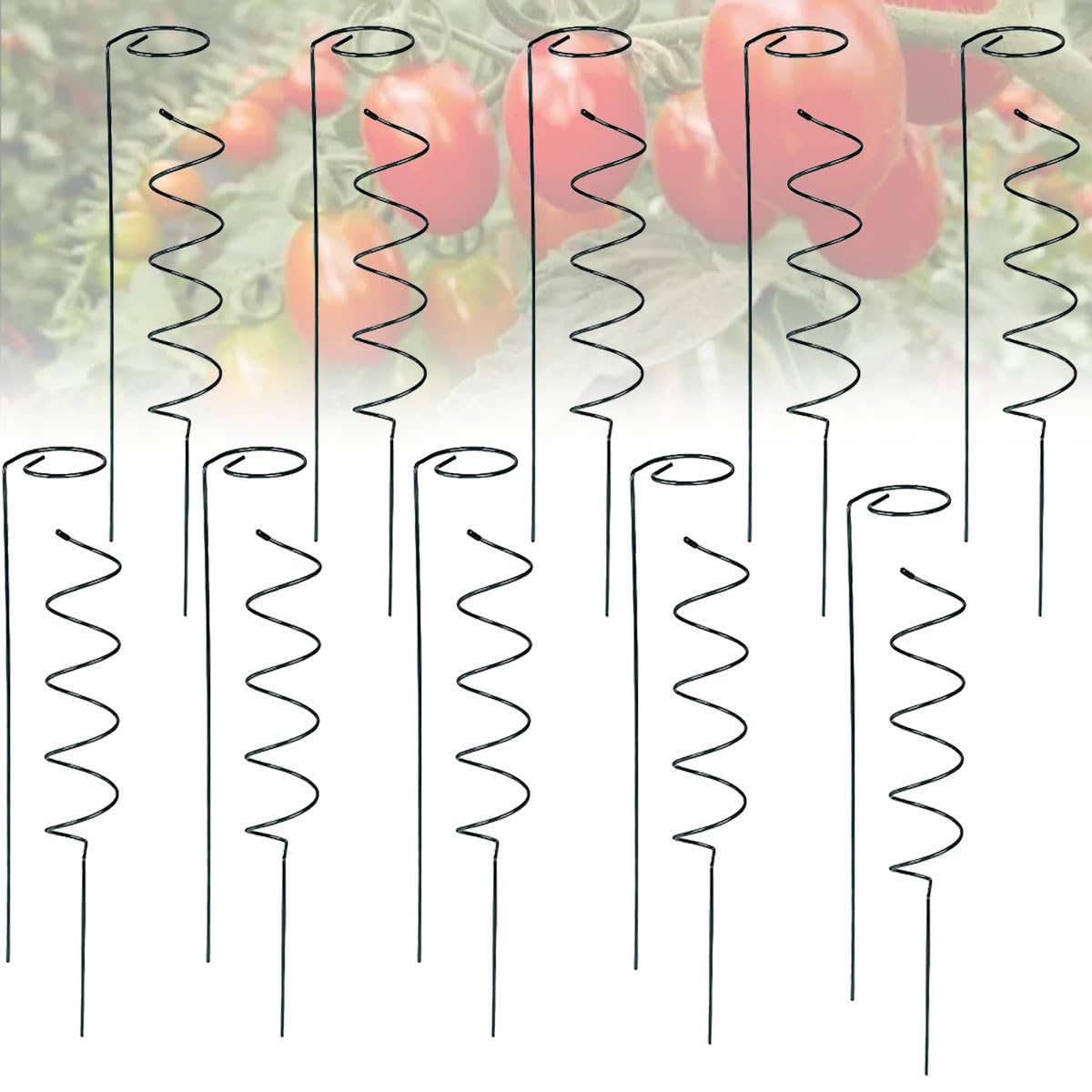 Tuteur torsadé for tomates, tuteurs en spirale for tomates, tuteurs torsadés for tomates, supports for plantes, cages à tomates en spirale, tuteurs métalliques for jardin, cour et serre(Straightx10+Sp