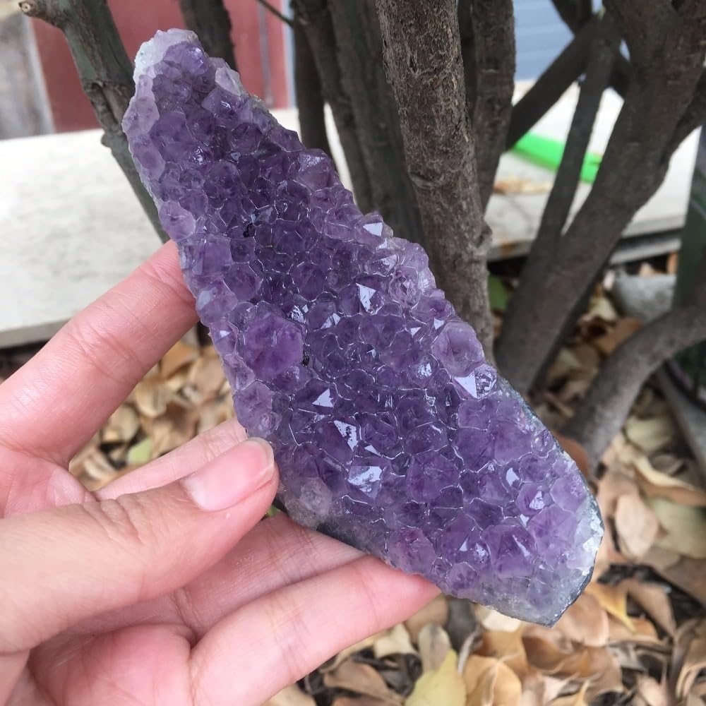 DPURPIWADY Decorative Ornaments Amethyst Cluster Quartz Crystal geode